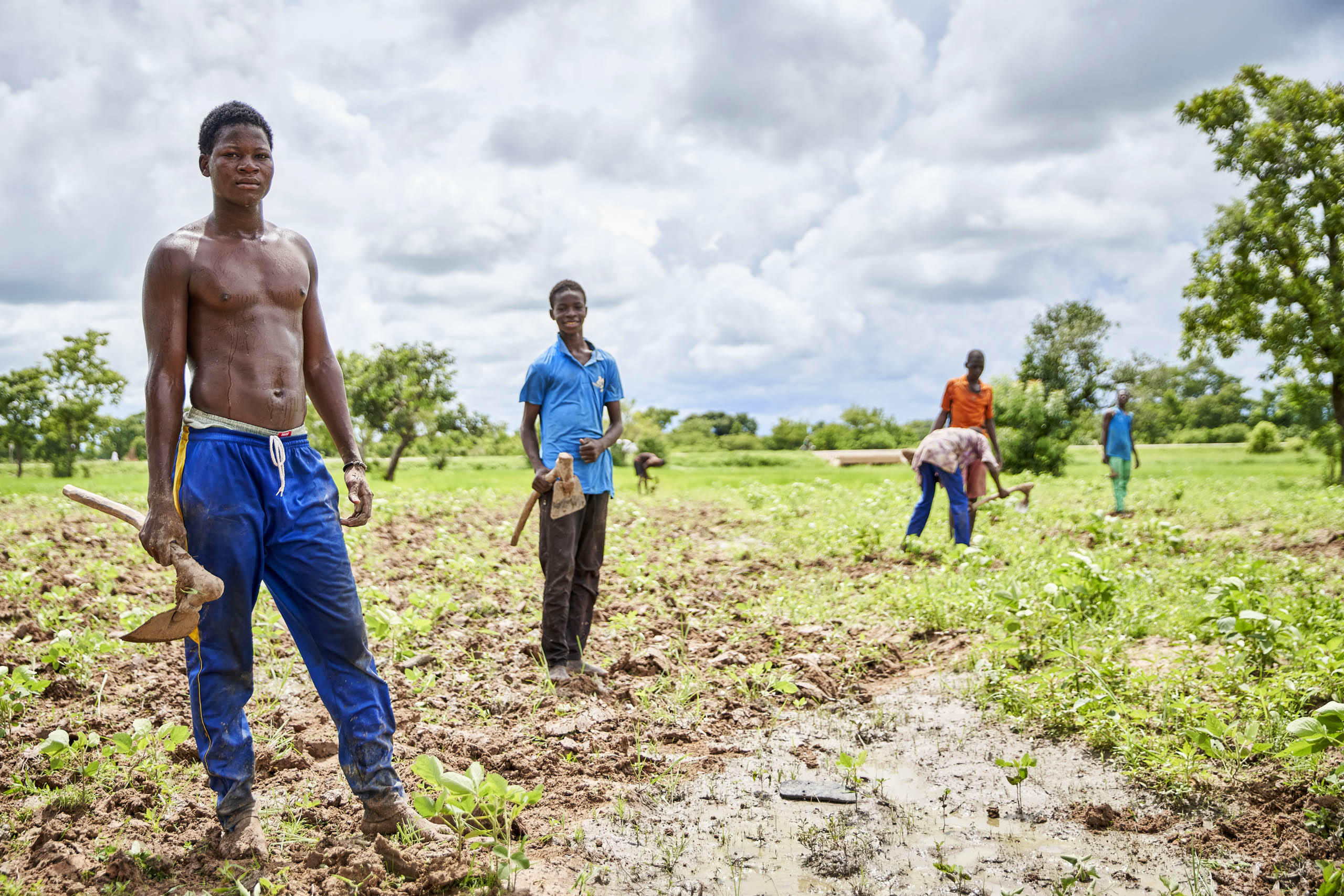 Farm workers tilling a field in Ghana